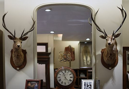 The Story Behind The Stags