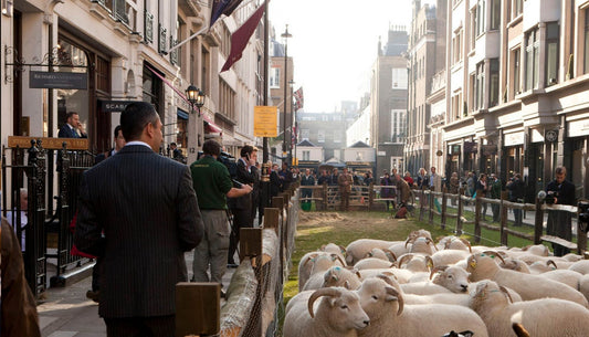 Sheep on Savile Row