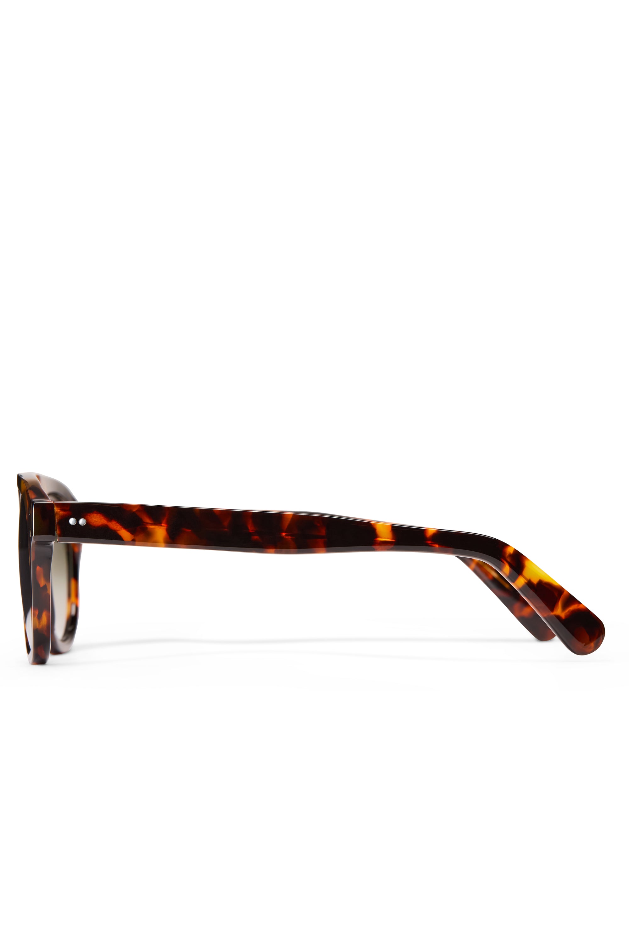 The Neutra Sunglasses
